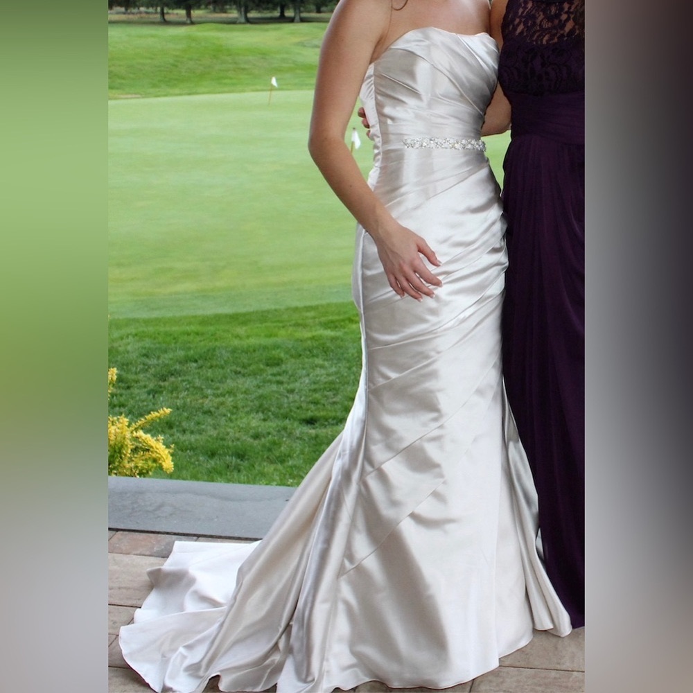 Pronovias Wedding Dress